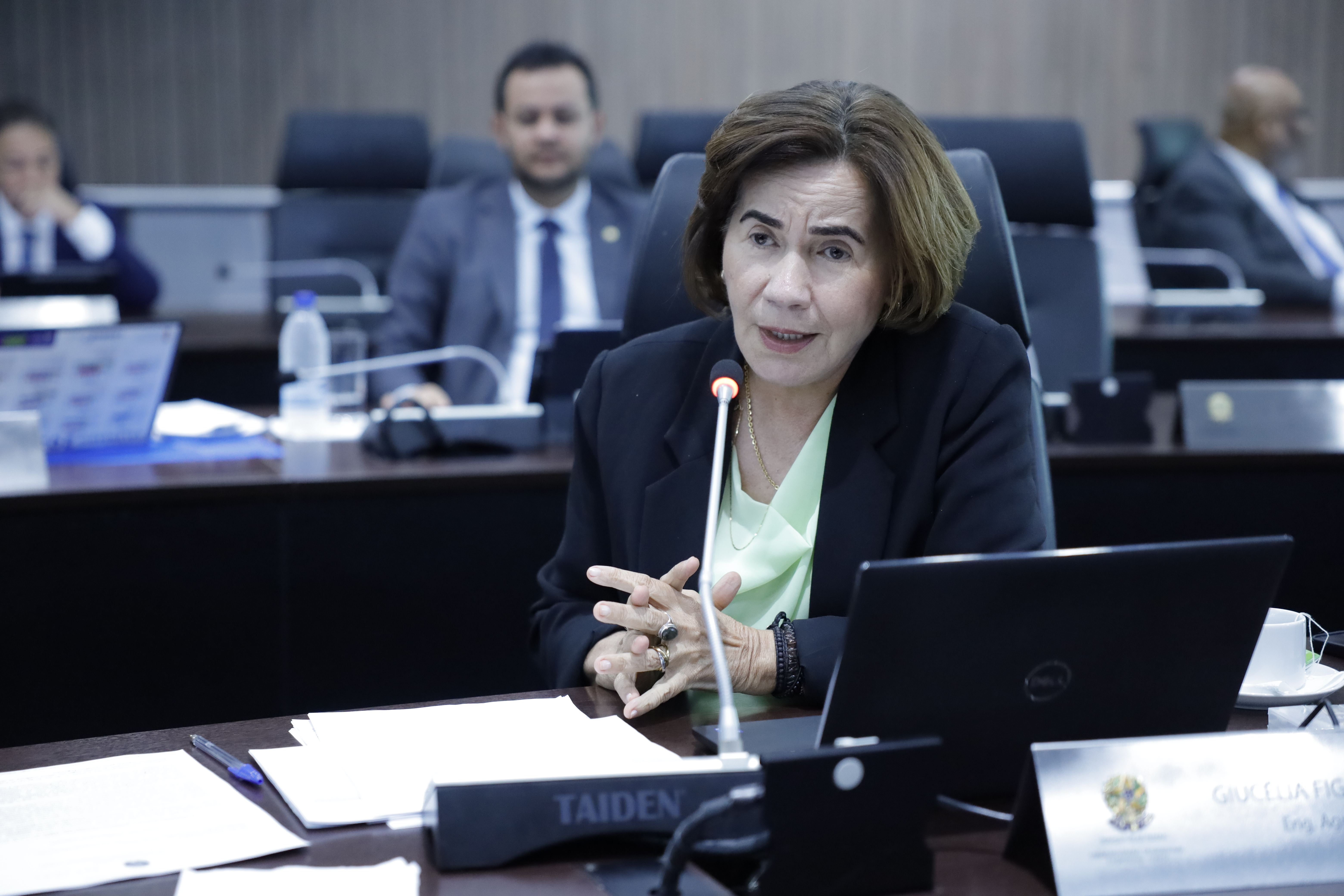 Conselheira federal eng. agr. Giucélia Figueiredo