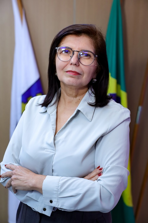Presidente em exercício do Confea, engenheira Ana Adalgisa destaca a ética e a valorização da realidade brasileira nas peças