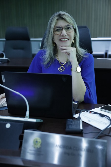 CD aprova calendário de GT em prol da habitação e da engenharia pública
