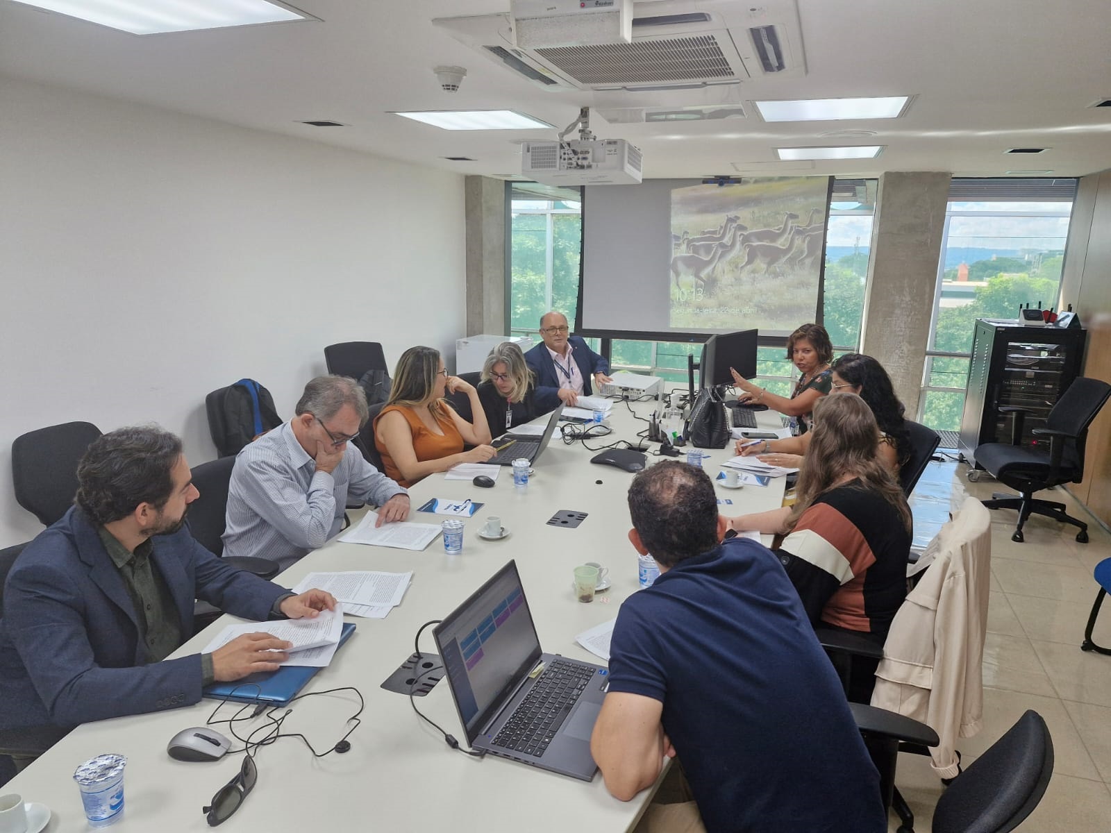 Reunião do segundo grupo de especialistas