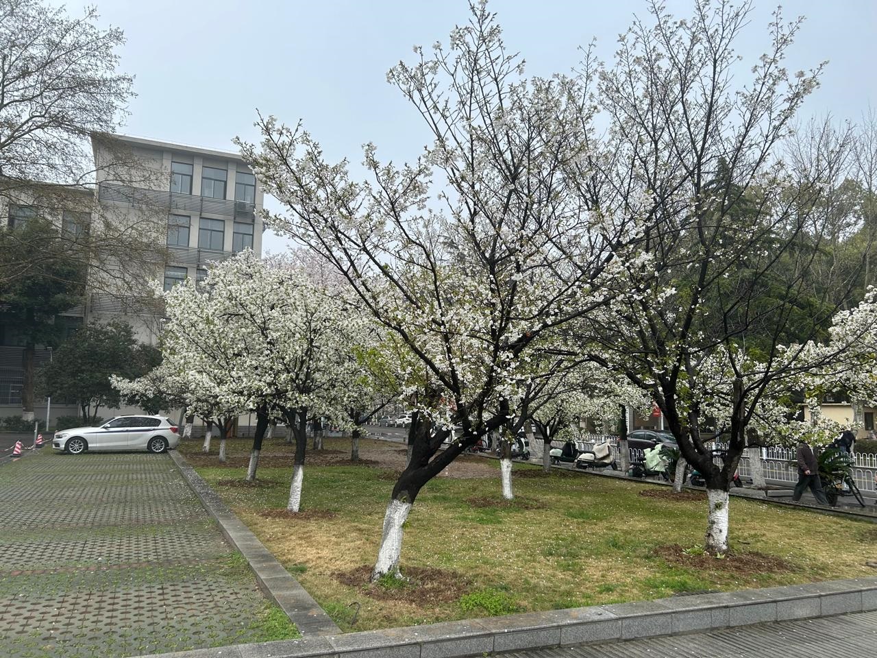Foto do professor Edgar Dutra Zanotto da paisagem de Wuhan em frente ao laboratório que o homenageia: talento para novas descobertas incluem recentemente a intimidade com o universo da Inteligência Artificial