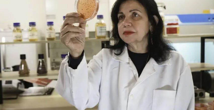 mariangela-embrapa
