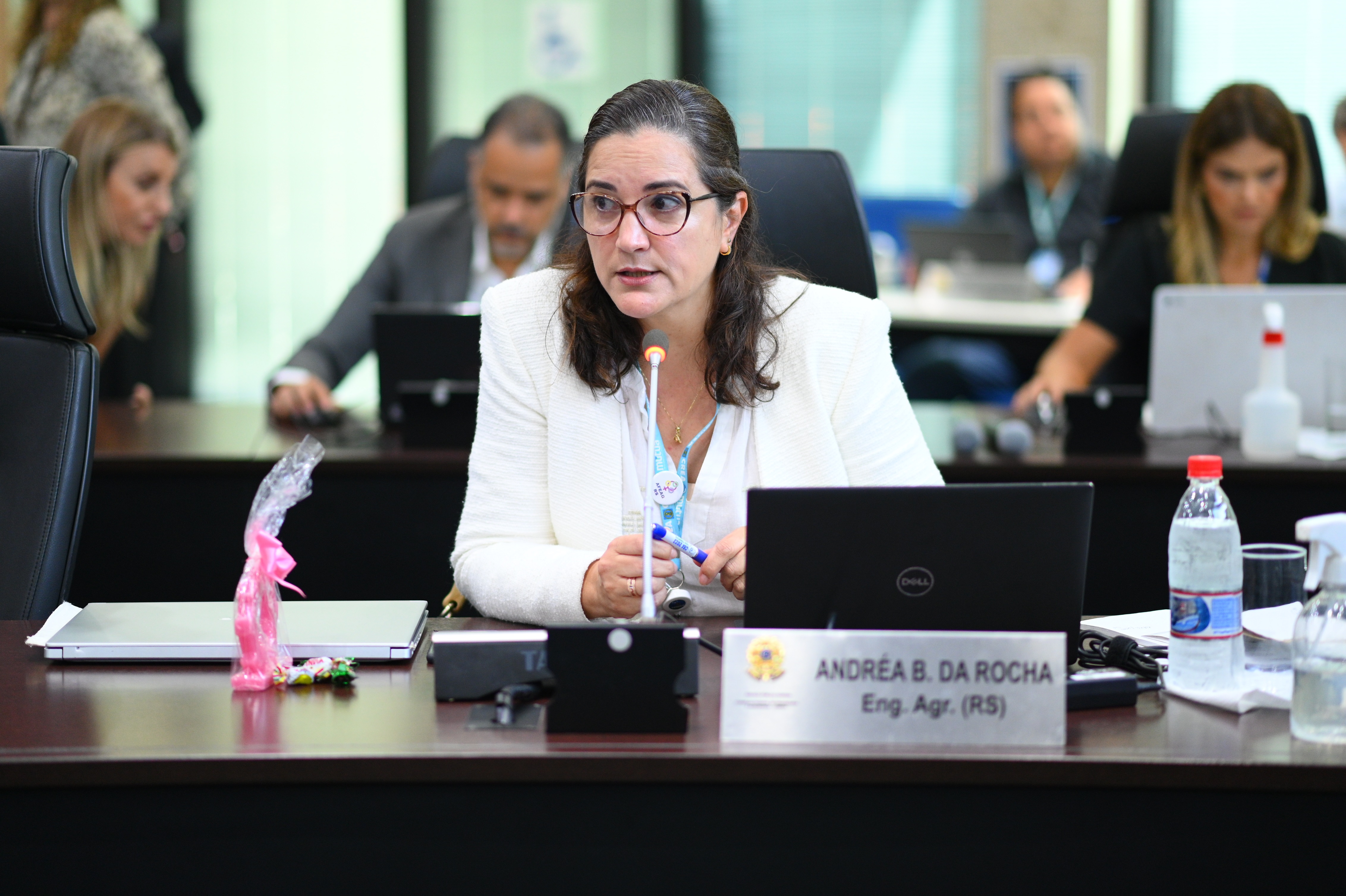 Conselheira federal eng. agr. Andréa Brondani apontou aspectos do impacto da medida para a Agronomia