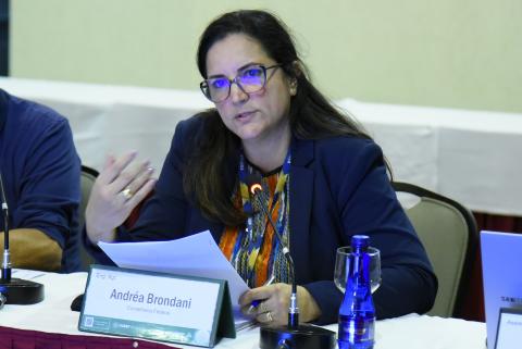 Conselheira federal Andréa Brondani