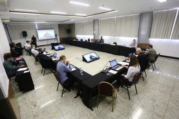 Reunião da Coordenadoria de Câmaras Especializadas de Engenharia Química: DCNs, Covid-19 e divulgação da área