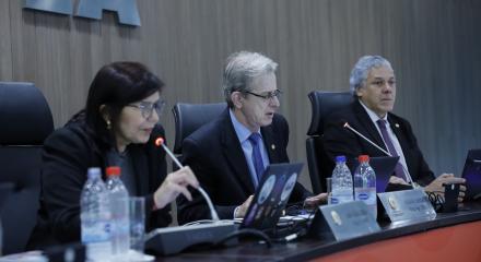 Plenária marcou a despedida do exercício da vice-presidente, eng. civ. Ana Adalgisa, na presidência do Confea, nos últimos seis meses