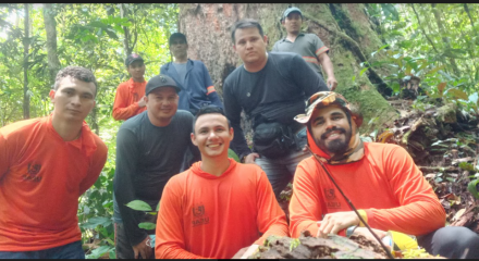 Expedição arvore gigante