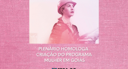 Cartaz diz plenário homologa criação do programa mulher em Goiás