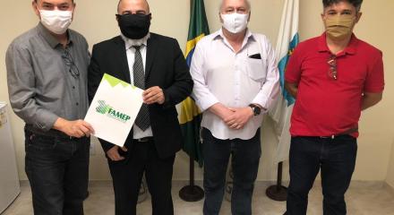 reunião no crea-pa com famep