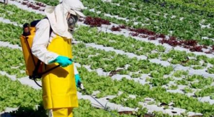 Homem trabalha em lavoura 