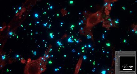 Simulação Gemini Nanoplásticos