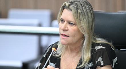 Presidente da Abenge, eng. civ. Adriana Tonini