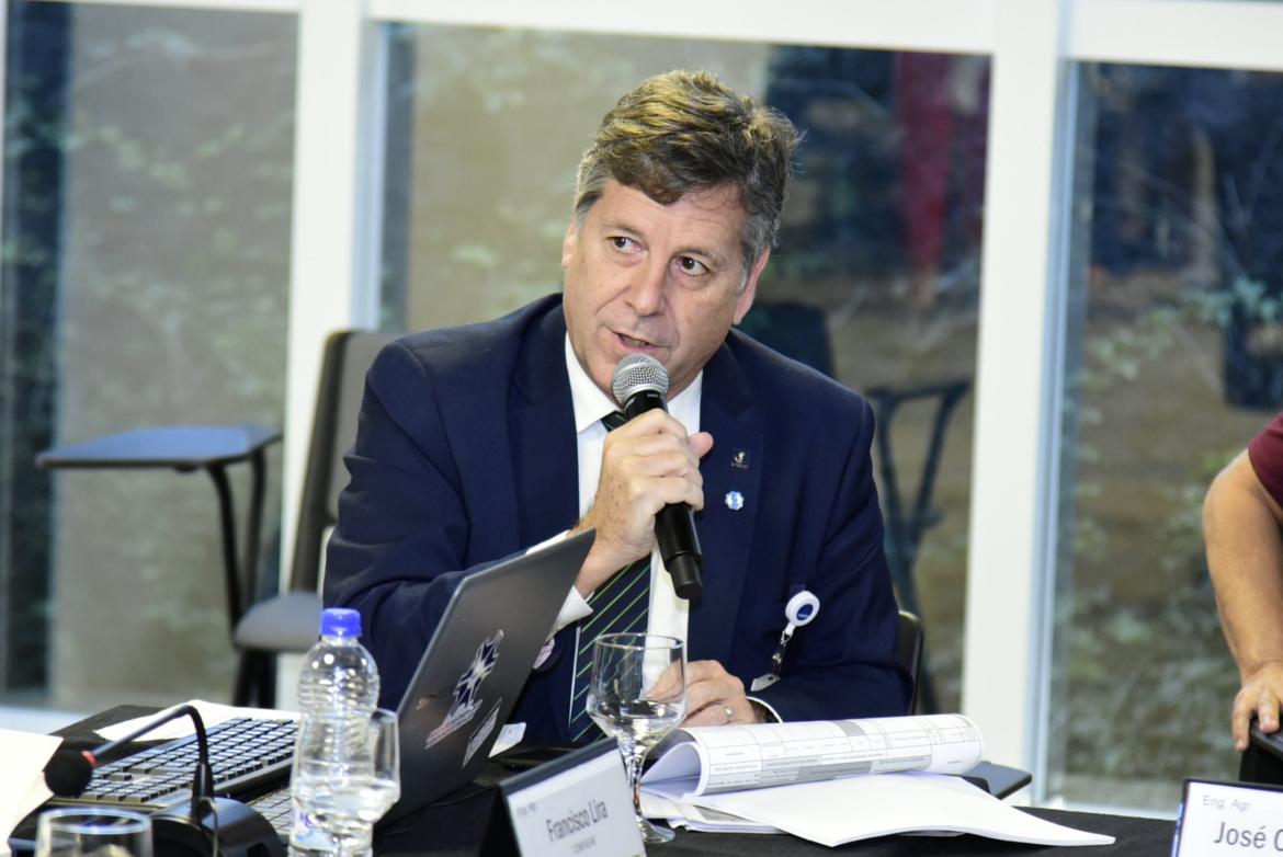 Assessoria parlamentar