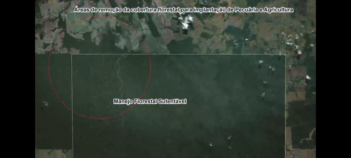 Imagem de satélite aponta áreas de manejo florestal do país: atividade promove o desenvolvimento sustentável