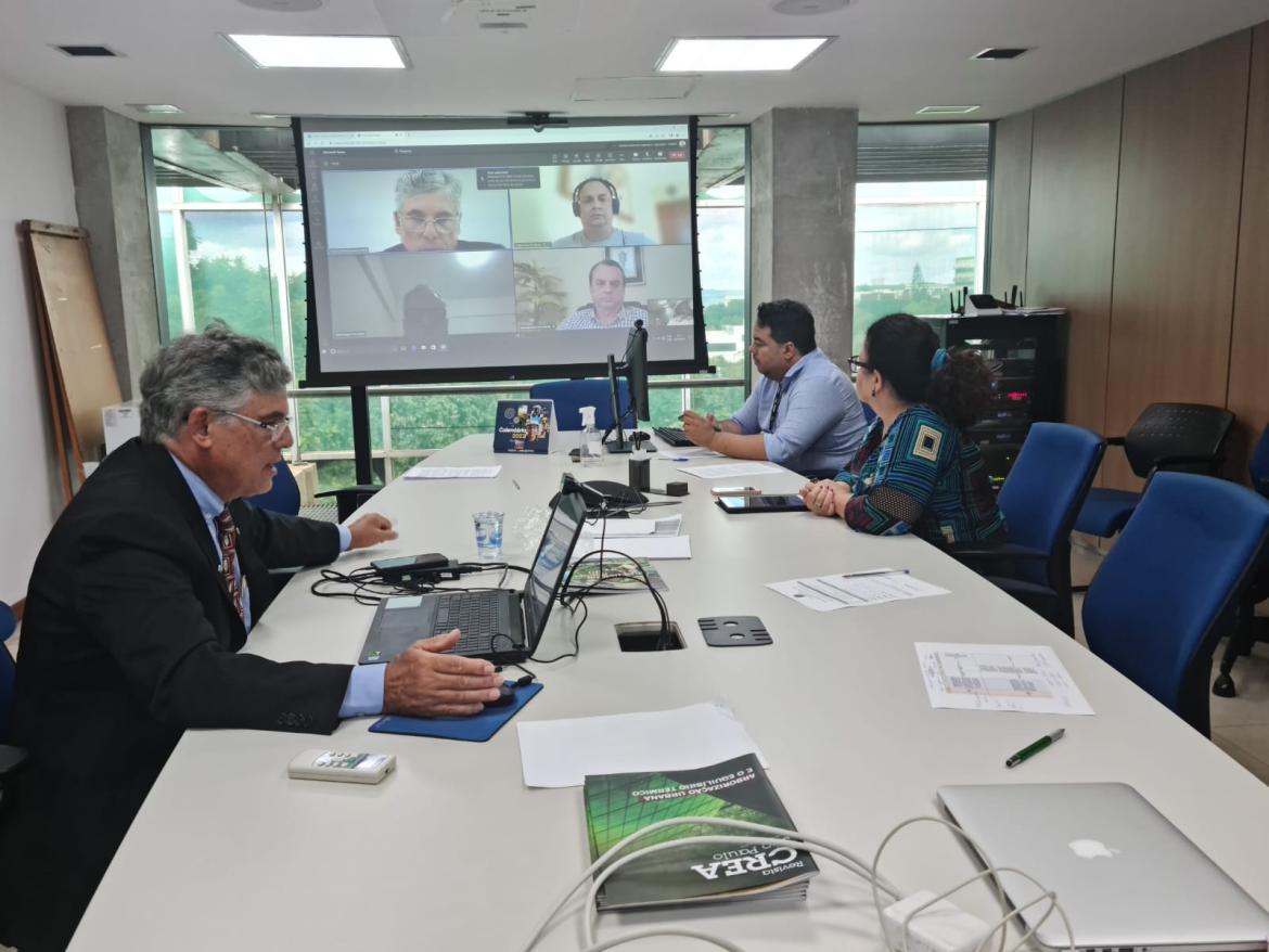 Engenheiro agrônomo Lucchesi conduz reunião virtual com a área ambiental dos Creas no encerramento da instalação da comissão temática