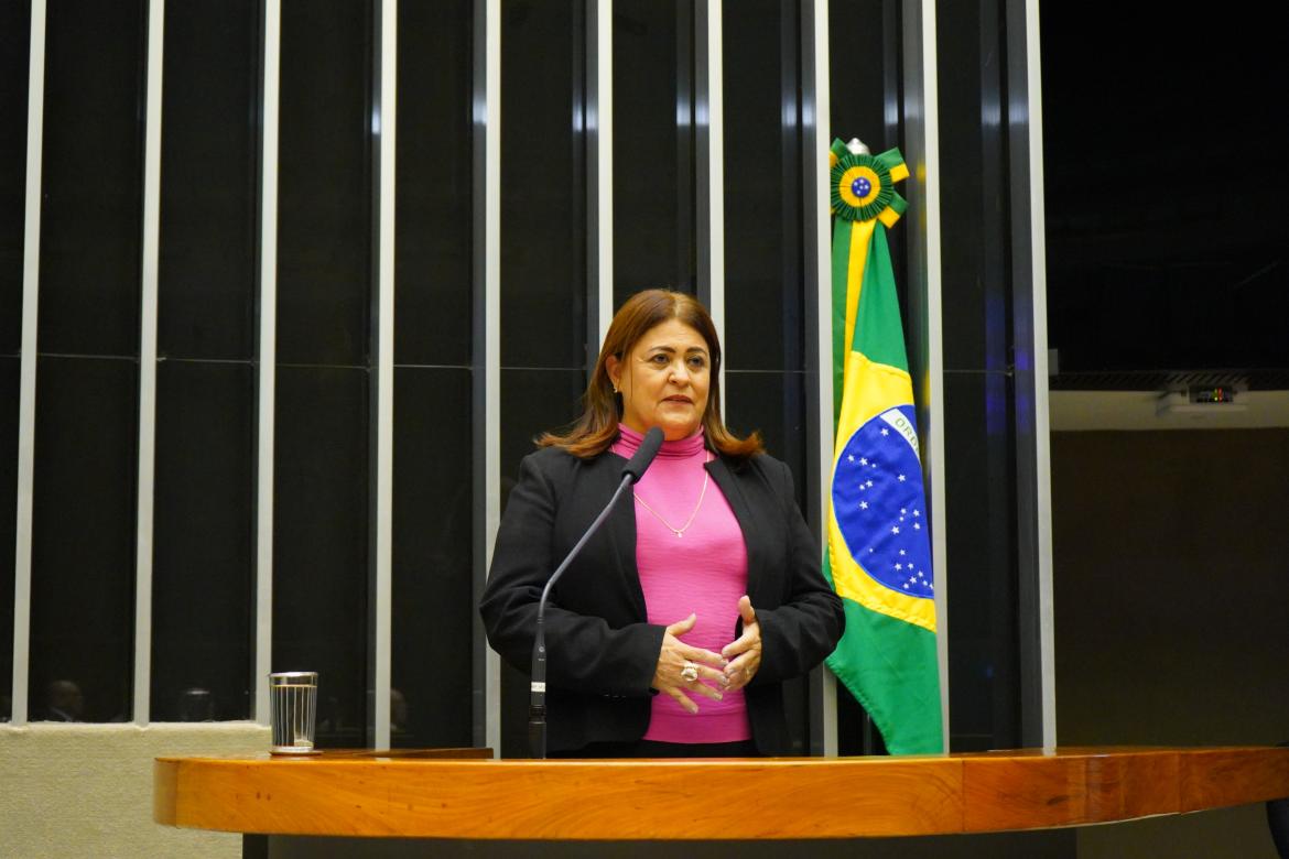 Presidente do Crea-AC, eng. civ. Carmem Nardino