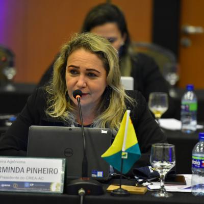 Presidente do Crea-AC, Carminda Pinheiro: conquistas com o Conselho de Comunicação e Marketing