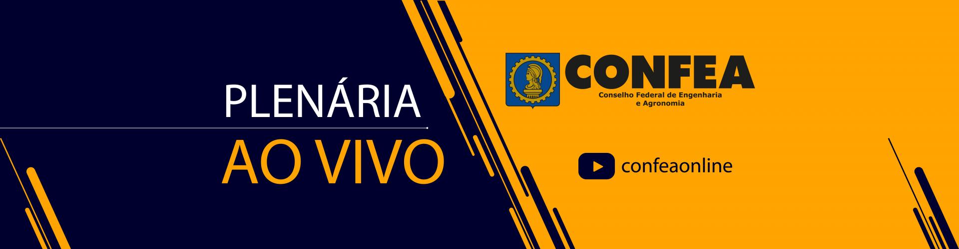 Plenária ao vivo