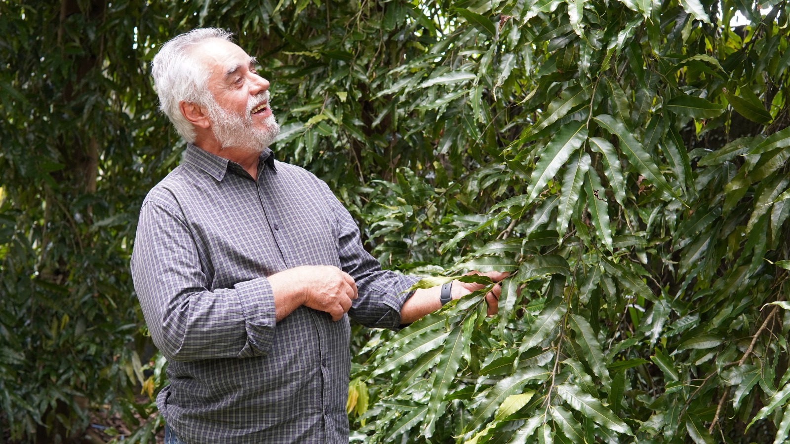 Eng. ftal. Rafael Salomão: "11º Prêmio ABEU é de grande relevância científica, institucional e simbólica para os autores, para o Museu Paraense Emílio Goeldi (instituição editorial) e para a Amazônia como um todo"