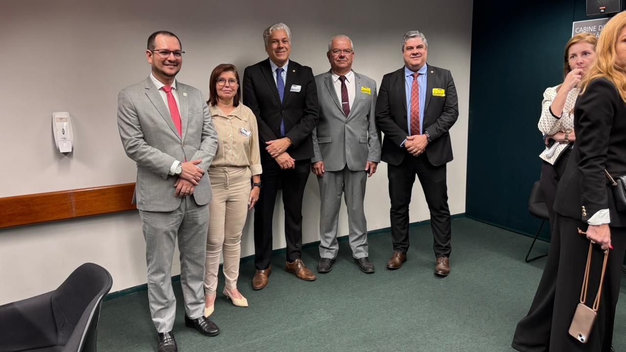 Da esq. par/dir.: presidente Hércules Medeiros (Crea-PI); conselheira federal Ana Adalgisa; vice-presidente Nielsen Christianne e conselheiros federais Francis Saladanha e Daniel Robles