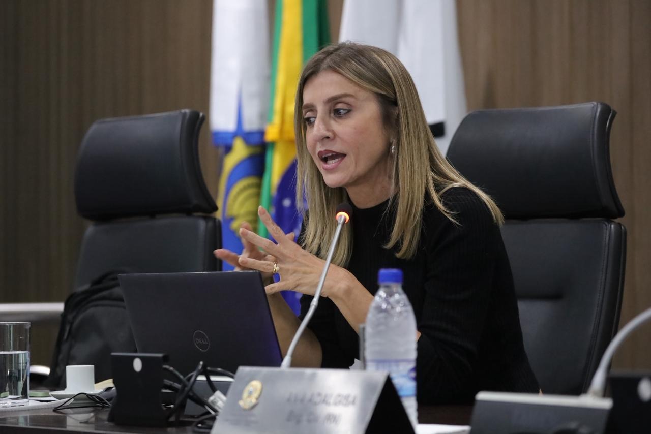 Gerente de Apoio aos Colegiados, Sílvia Aída, conclamou pela participação dos regionais no teste do novo sistema